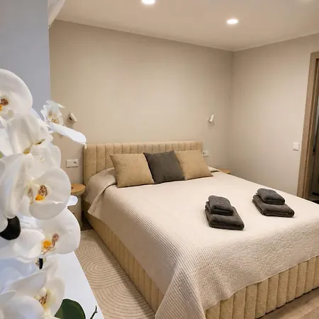 Pure Lotus Apartment